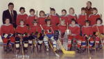 Hockey in Fredericton